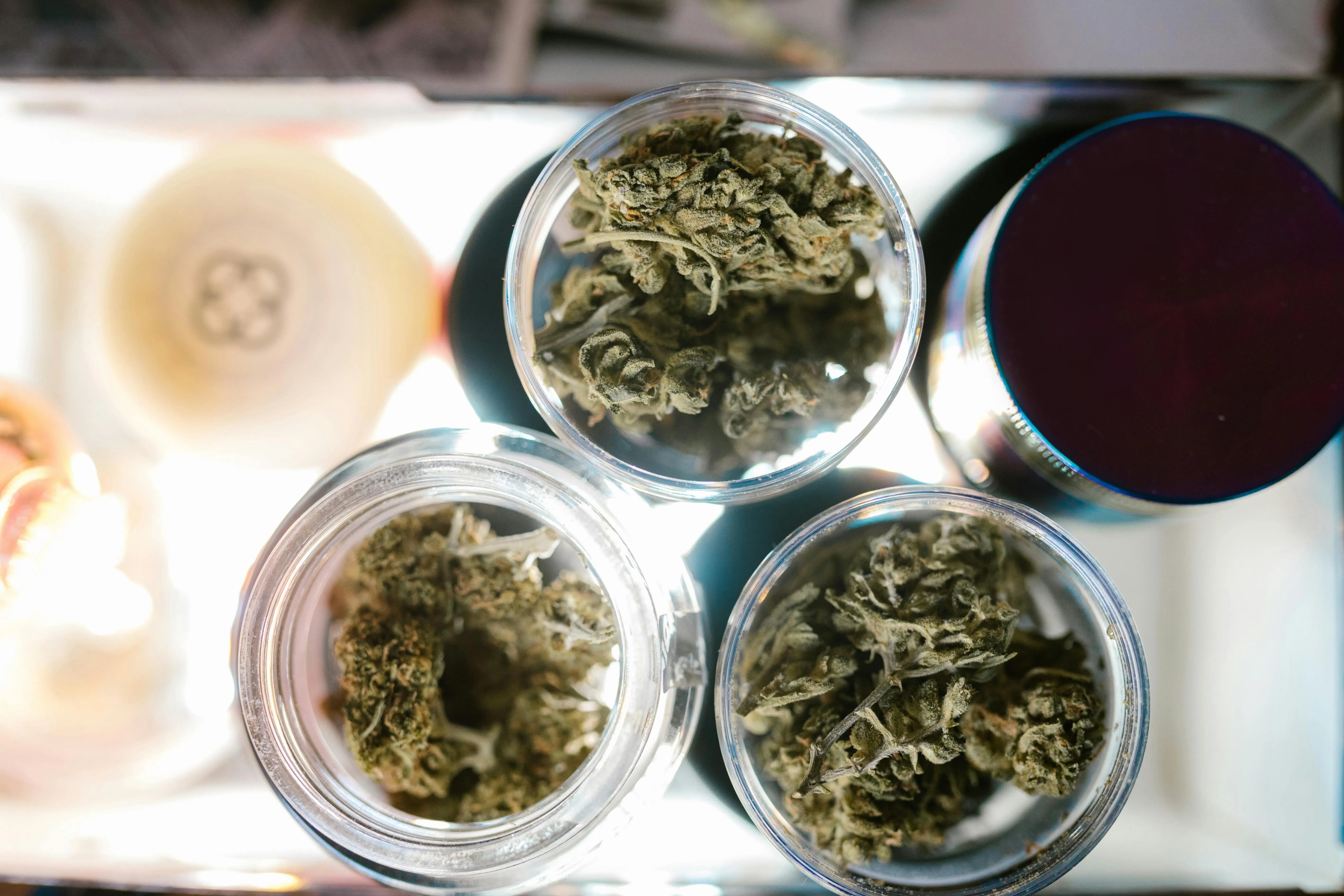 top places to buy weed grinder